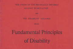Fundamental Principles of Disability